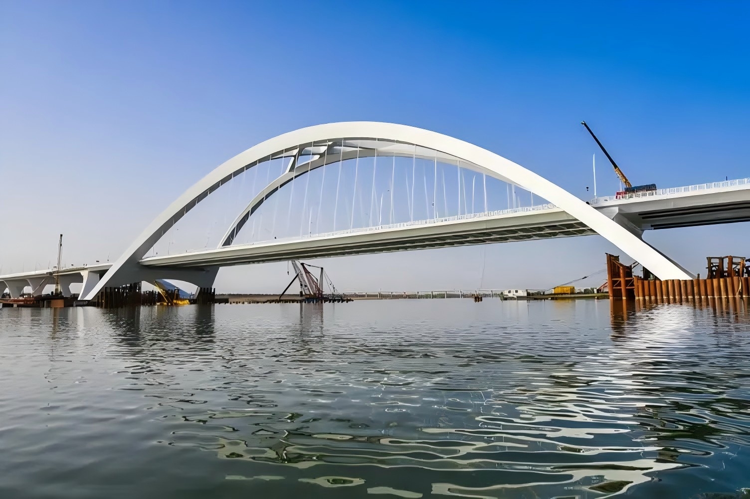 ������������Ӫ�� | ������Ϊ֤�����������������ס�ˣ�